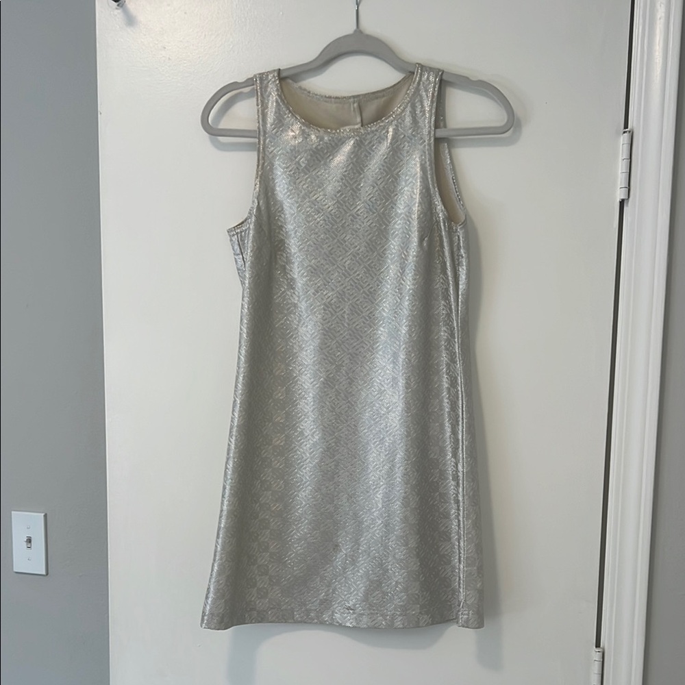 Elegant Silver Sleeveless Dress